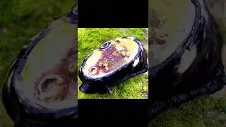 🐌Замочная🔐Скважина🪸