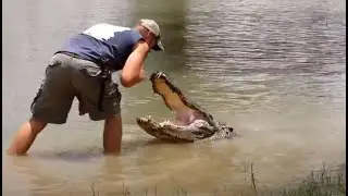 Gator kiss - and quick hands