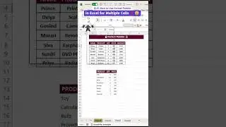 Use Format Painter in excel || Apply Same Formatting Across Cells using Format Painter | 