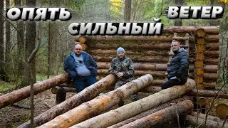 Притащили брёвна | ЛЕСНОЙ ДОМ | ИЗБА | FOREST HOUSE | DUGOUT | HUT