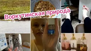 👱‍♀️Моё домашнее видео без уборки🌱🦢 Воркутинская природа