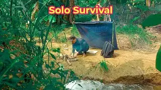 1 Days of Solo Survival - Camping Living and Bushwalking - Food From River Fish