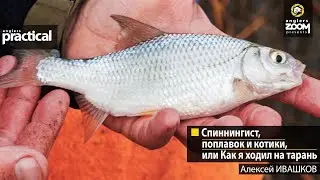 Спиннингист, поплавок и котики, или Как я ходил на тарань. Алексей Ивашков. Anglers Practical