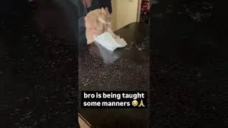 Funny animal videos I found on Instagram and Tiktok 
