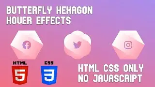 Butterfly Hexagon Hover Effects - HTML CSS - No JavaScript