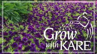 Grow with KARE: Top 10 Annuals, from U of M Research