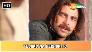 Tujhko Na Dekhun To Ji Ghabrata Hai | Jaanwar (1999) | Akshay Kumar | Udit Narayan | Sunidhi Chauhan