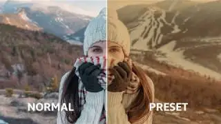 Colors / Fog Pack - Premiere Pro Presets