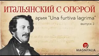 Una furtiva lagrima, ария Неморино из оперы “Любовный напиток”. Итальянский язык опер. #италия