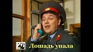 Джентльмен шоу. Лучшая 10 анекдотов