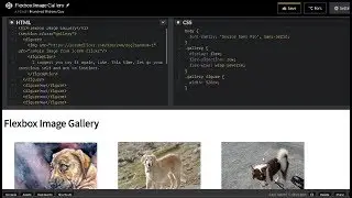 Adding Flex to Your Flexbox Image Gallery on CodePen