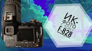 Инфракрасное фото легко с Sony F-828. Сони делает вещи.