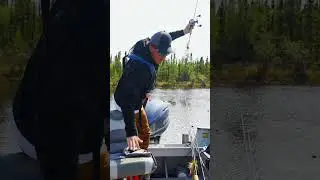 This one hurt…fishing fail. #shorts