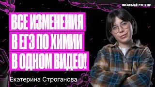 Изменения в ЕГЭ 2024 по химии в одном видео | Екатерина Строганова