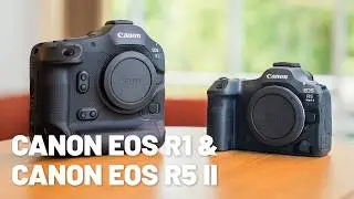 De MEEST VERWACHTE camera van het jaar! - Canon EOS R1 & R5 II