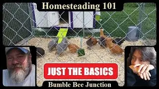 Homesteading Basics For The Beginner Family Or Channels