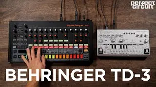 Behringer TD-3 Acid Synth With RD-8 Drum Machine and Source Audio Collider