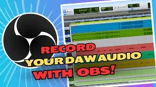 How To RECORD And STREAM Audio From Any DAW With OBS (WINDOWS}