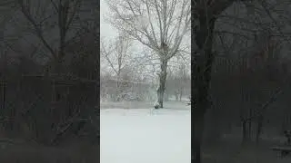 зима пришла