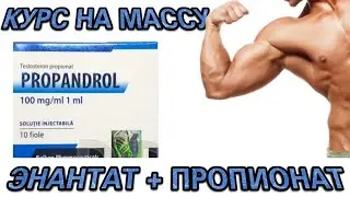Базовый курс на массу. Тестостерон ЭНАНТАТ + ПРОПИОНАТ. Курс новичка