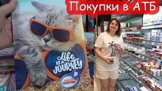 VLOG У нас уже бэк ту скул