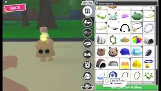 This Cuddly Candle pet wear is so adorable !