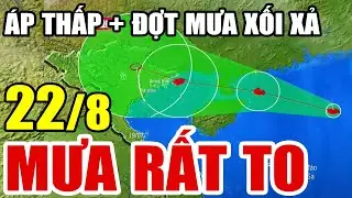 🔴[Trực Tiếp] Dự báo thời tiết hôm nay và ngày mai 22/8/2024 | dự báo thời tiết 3 ngày tới