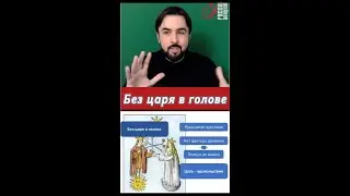 Что означает это выражение? Как навести порядок в сфере жизни Слияние? #жизнь #порядок