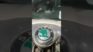 SKODA проблема данного двигателя