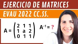 Ejercicio de Matrices 👨‍🎓 EVAU Matemáticas CCSS 2022 Madrid