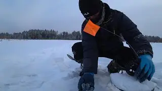 ПЕРВЫЙ ВЫСТРЕЛ ЧЕРЕЗ 30 СЕКУНД И ПОНЕСЛОСЬ! ОДНИХ ПЯТНИСТЫХ ЩУЧЕК ПОЙМАЛ Я ..НАДЦАТЬ ШТУЧЕК! ЖЕРЛИЦЫ