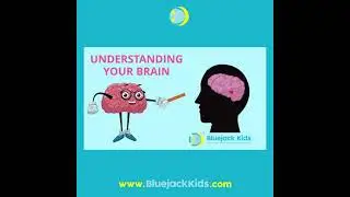 Understanding Your Brain