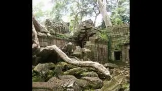 Ta promh temple - Siem Reap Tam Promh - Cambodia Temples