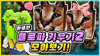 이 세상 귀여움이 아니다!😸 환생한 플로파 키우기2 모아보기! [로블록스] 새상놀이터