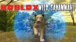 WILD SAVANNAH SHOWCASE IN ROBLOX | LOOKS AMAZING! | RADIOJH GAMES