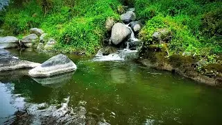 Waterfall Sounds for Ultimate Relaxation (10 Hours)