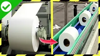 How Toilet Paper Is Made In Factory🧻 [MILLIONS OF PAPER ROLLS]: production & manufacturing process