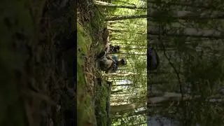 Capturing drone footage at Texas Falls, VT #drone #vermont #videography #hiking #burlington #pilot