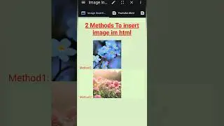 2 Methods to Insert Images in html 