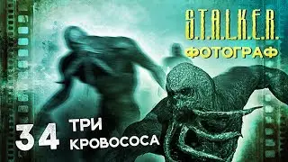 Девушка играет в S.T.A.L.K.E.R.: ФОТОГРАФ 34 ● Три кровососа ●