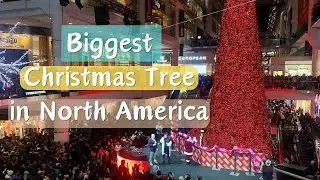 Tree Lighting Ceremony of Biggest Indoor Christmas Tree in North America || Toronto Eaton Centre 4K