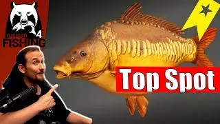 Russian Fishing 4 - Bernsteinsee - Top Köder, Top Spot, Trophys