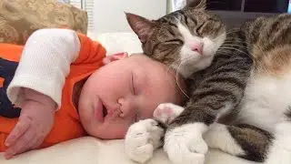 When Adorable Childs and Cats Growing Up Together 💕