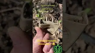 Поиск с металлоискателем!!!!