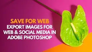 Export images for web and social media or save for web