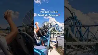 PENGUIN THEMED ROLLER COASTER🐧🎢 #shorts #travel #seaworld #orlando #florida