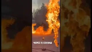 Спасибо, что вы с нами ❤️‍🔥 