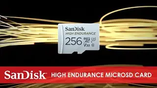 SanDisk® High Endurance microSD™ card