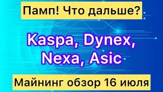 ПАМП, ЧТО ДАЛЬШЕ? МАЙНИНГ ОБЗОР 16 ИЮЛЯ // KASPA, DYNEX, NEXA, ASIC