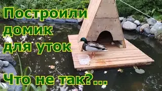 Домик для уток на воде. Наш вариант утиного домика. Что не так? Утки не заглядывают внутрь домика